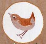 wren